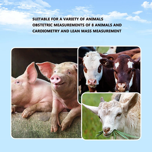 Portátil Cerdo Vaca Cabra Veterinario Ultra Sonido Cerdo <span class=keywords><strong>Embarazo</strong></span> B Ultrasonido - Product Image 6