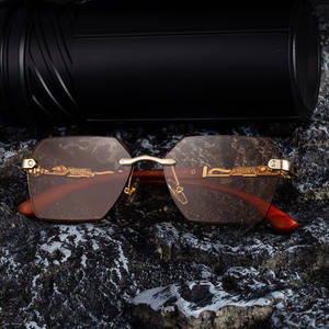 Lunettes de soleil photochromiques Polo Haus pour homme, protection UV400, verres PC classe 2, monture noire, branches dorées-blanches à gris - Product Image 3