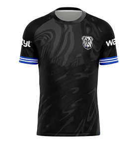 2026 Service OEM personnalisé Maillot de rugby en polyester vierge, T-shirts et shorts de rugby, Tenue de football tactile, Impression par sublimation Dog - Product Image 3