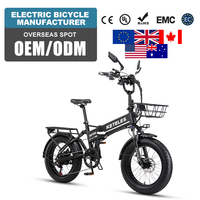 Vélo électrique pliable OEM 20 pouces 250W sans balais, frein à disque 48V, moteur moyeu arrière 7 vitesses, vélo de ville pour adulte