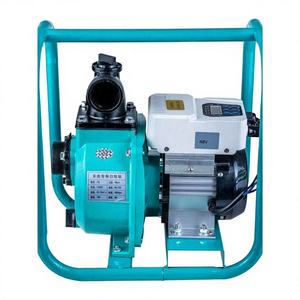 Bomba de Agua Autocebante de Alta Presión y Alto Flujo con Controlador Solar MPPT, Bomba para Pozos Profundos de 3 Metros, OEM Disponible - Product Image 1