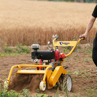 Motoculteur diesel multifonctionnel à poussée manuelle pour la préparation des sols agricoles