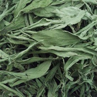 Harga Grosir Daun Stevia Kering Alami 100% dengan Rasa Manis, Teh Herbal Daun Stevia Rebaudiana untuk Minuman Teh