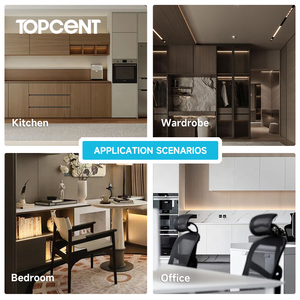 Cerniere in Acciaio Inox per <span class=keywords><strong>Mobili</strong></span> e Porte di Cucina, Nuova Produzione TOPCENT - Product Image 4