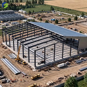 Bâtiment d'entrepôt en structure métallique pour machines de construction, atelier industriel résistant à la corrosion, de qualité professionnelle - Product Image 1