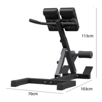 Chaise romaine réglable pour hyperextension, banc de musculation pour la taille, le dos et les fessiers, équipement de fitness à domicile