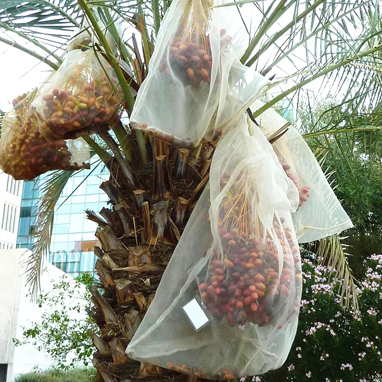 Hdpe mango saco antiinseto rede sacola proteção fruta data palma sacos de malha