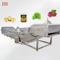 Vruchten En Groenten Wortelen/Kokosnoot Vlees/Paddestoel Blancheren Machine, Continue Amandel Blancheren Machine