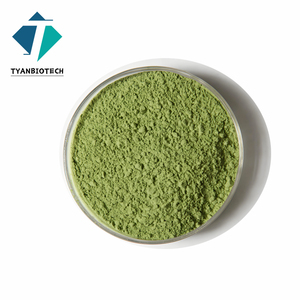 Giá tốt nhất Matcha Green Tea Powder hữu cơ chiết xuất trà xanh 98% Matcha Green Tea Powder - Product Image 2