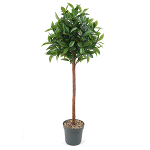 Nouvel arrivage <span class=keywords><strong>de</strong></span> <span class=keywords><strong>laurier</strong></span> artificiel moderne en plastique Plantes d'aménagement paysager décoratives d'apparence réelle pour l'intérieur et l'extérieur - Product Image 1
