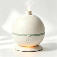 Cetakan Injeksi Kustom untuk Casing Luar Humidifier Rumah Tangga, OEM ODM Humidifier Plastik