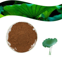 Extrait de Nelumbo Nucifera de haute qualité 10:1, extrait pur de feuille de lotus 2% 4% 98% Nuciferine
