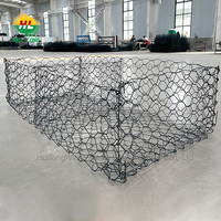 Rouleau de fil de fer galvanisé enduit de PVC maille de Gabion forme de trou hexagonal mur de soutènement Rouleau De Maille Service de coupe inclus