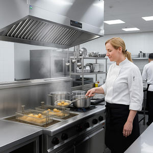<span class=keywords><strong>Hotte</strong></span> de <span class=keywords><strong>cuisine</strong></span> commerciale sans conduit, adaptée aux locataires |   Contrôle des odeurs au carbone sans modification structurelle pour les centres commerciaux et les sites historiques - Product Image 1