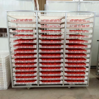 BAOYANG Droogoven Voedseldehydrator RVS Multi-verwarming PLC-besturing Fruit Groente Dehydratatie Energiebesparend