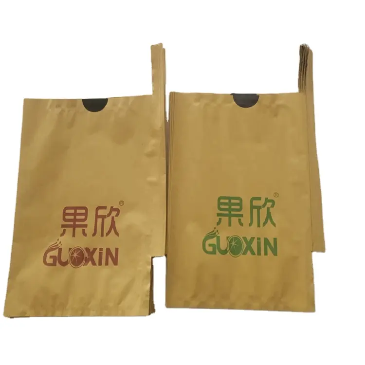 Hot Selling Eco Friendly China Kraft Paper Fruit Bag Mango Pear Protection Growing Paper Bag