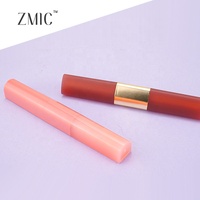 Tube de brillant à lèvres double embout 12 ml, vide, rose, or, rouge, avec bouchon et pinceau, tube en plastique brillant à mécanisme rotatif