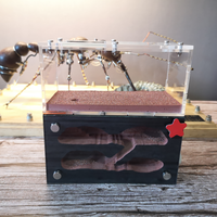 Cage en acrylique pour insectes, conteneur de ferme pour fourmis, nid détachable à aimant