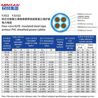 Kabel Daya Berlapis Baja 4 Inti N2XBY 4mm 10mm 16mm 35mm 50mm 0.6/1 KV Tembaga Berisolasi XLPE Berselaput PVC untuk Bawah Tanah Jarak 500m