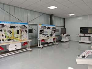Plataforma de Entrenamiento para la Instalación y Ajuste de Paquetes de Baterías de Vehículos de Nueva Energía, Equipo de Enseñanza y Plataformas de Capacitación - Product Image 4
