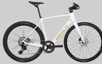 Vélo de route électrique cargo en carbone 700C, 24 vitesses, moteur haute performance 45N.m, câbles entièrement intégrés, léger (15 kg)