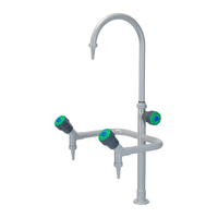 Équipement de laboratoire Utilisation en laboratoire Robinet/robinet d'eau résistant aux produits chimiques Robinet d'évier de laboratoire Plastique industriel PP Accessoires scolaires Acheter à l'école