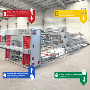 Jaula para Gallos <span class=keywords><strong>de</strong></span> Malla <span class=keywords><strong>de</strong></span> Alambre Galvanizado Tipo A Totalmente Automática, Equipo para Granjas Avícolas, Sistema <span class=keywords><strong>de</strong></span> Alimentación, Jaula para Gallinas Ponedoras - Product Image 3