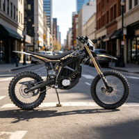 Hochleistungs-2026 Surron Ultra Bee 95km/h Offroad E-Bike mit Variablen Leistungsmodi für Erwachsene Rennfahrer