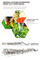 Línea de Procesamiento de Vegetales de Hoja y Raíz Totalmente Automática/Línea de Producción de Frutas y Vegetales Congelados