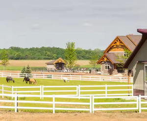 Poste de Pvc y valla de caballo de riel para <span class=keywords><strong>estad</strong></span>ías ecuestres tradicionales Cerca de caballo de alambre revestido negro - Product Image 3