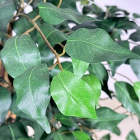 Haute qualité 210cm arbre de Ficus artificiel Faux plante en pot arbre artificiel pour la décoration de jardin à la maison