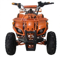 Motor ATV Listrik Mini CE untuk Anak-Anak dengan Motor 36V 500W dan Baterai Asam Timbal 36V 12Ah