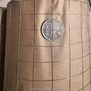 Maille de fil métallique galvanisé soudé 2x2 pour le renforcement des bâtiments et la construction de plâtrage mural - Product Image 5