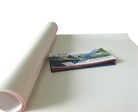 Structure membrane métallique, toit de tissu revêtu de PVC, imperméable, pvc