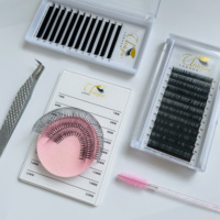 Extensions de cils inférieurs, cils synthétiques faits à la main, individuels, sans cruauté, naturels, longs, courbure B, 25 mm, en PBT, effet cachemire