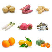 Multifunctionele Borstel Oranje Wortel Wasmachine Cactusvijg Fruit Groente Reinigingsmachine