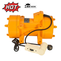 ACE Externer Betonvibrator Motor ZW-Serie 1PS-4PS 220V/380V Hochfrequenz 3000Hz Tragbarer Vibrator 1-8m Flexibler Schaft