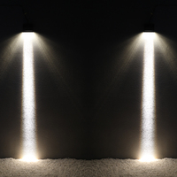 Projecteur LED lumineux à mise au point élevée pour la construction de bâtiments de parc Projecteur longue portée 50W Paysage extérieur IP65