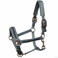 Collier de tête pour cheval - Une harnaisse élégante avec une sangle réglable et une poignée antidérapante, idéale pour le dressage et le saut d'obstacles