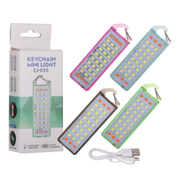 HL-275 HOOMEE Mini porte-clés USB lampe de poche LED rechargeable Type C porte-clés lumière de poche LED transparent