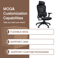 Chaise de bureau ergonomique haut de gamme avec soutien lombaire réglable, dossier en maille pour un confort optimal lors de longues heures assises