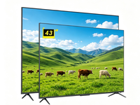 Téléviseur intelligent Full HD pour hôtel, rétroéclairage multicolore, VESA 200*200, 50Hz NTSC, solution TV intelligente pour chambre d'hôtes