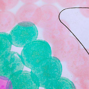 キラキラインクドットマーカーキッズ点滅描画マーカーペンアートペイントセット無毒インク描画おもちゃ - Product Image 3