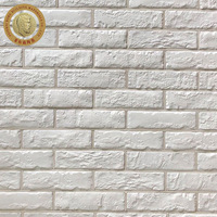 Villa moderne Mur extérieur Carreaux de porcelaine Résistance aux acides Porosité solide Angle fritté Briques Extérieur Rural