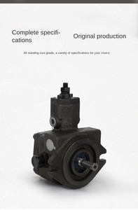 Bomba de Paletas Hidráulica de Alta Presión de la Serie VP, VP-30FA3, VP-40-FA3, FA4, FA2, VP3-30, HVP-40-140, Flujo de 40 L/min - Product Image 2