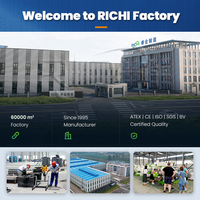 RICHI Usine de production de granulés de bois écologiques clé en main, 10 tonnes par heure, très demandée en Pologne