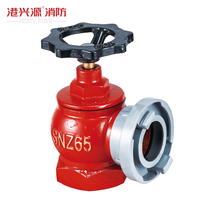 Hydrant d'incendie intérieur en fonte ductile rouge vertical pour équipement d'extincteur