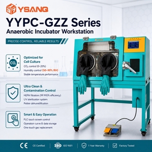 Stazione di Lavoro Anaerobica YSANQ per Coltura Cellulare Biomedica per Laboratori Clinici con Controllo O2, CO2 <span class=keywords><strong>e</strong></span> Umidità - Product Image 1