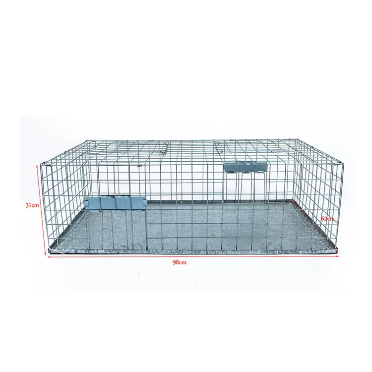 Rápido e fácil Metal Catch Catch Live Bird Trap Cage Bird Trap Gaiolas prontas para uso