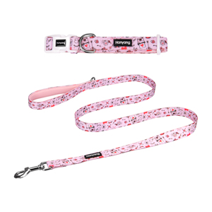 <strong>Pet</strong> <strong>Accessories</strong> New Designs Neoprene Padded <strong>Pet</strong> Dog Leash <strong>and</strong> Collar Set - Product Image 5